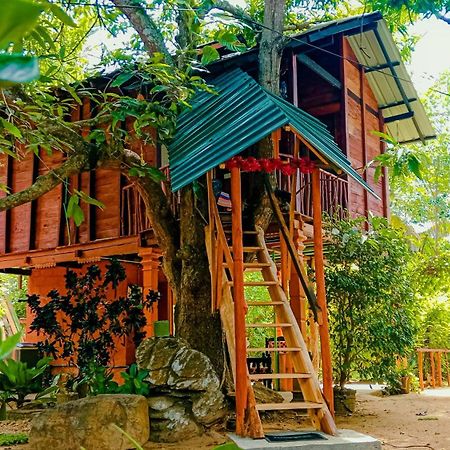 Sigiri Sky Home & Treehouse Сигирия Экстерьер фото