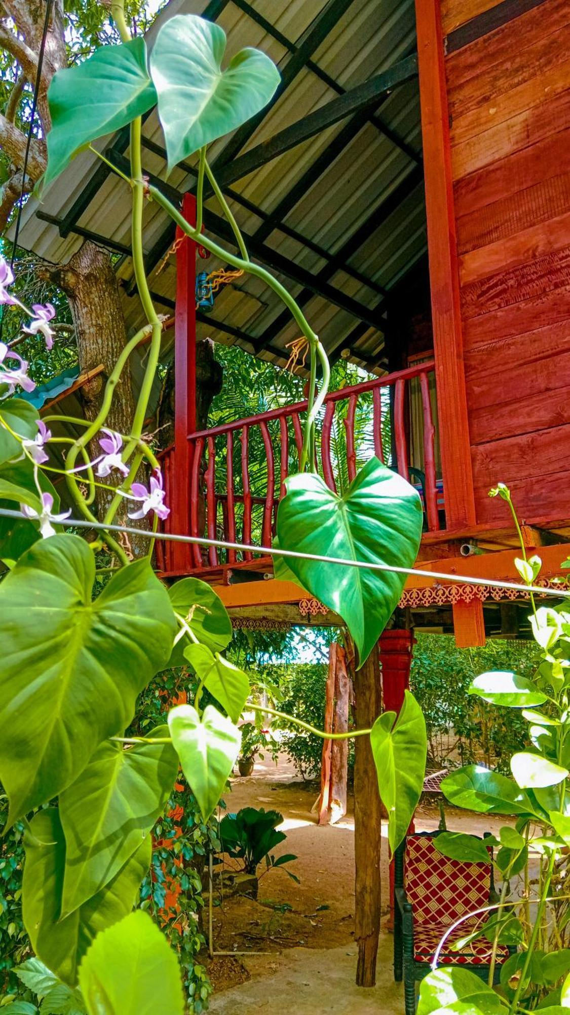 Sigiri Sky Home & Treehouse Сигирия Экстерьер фото